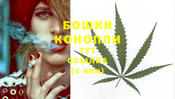 ECSTASY Нефтекумск