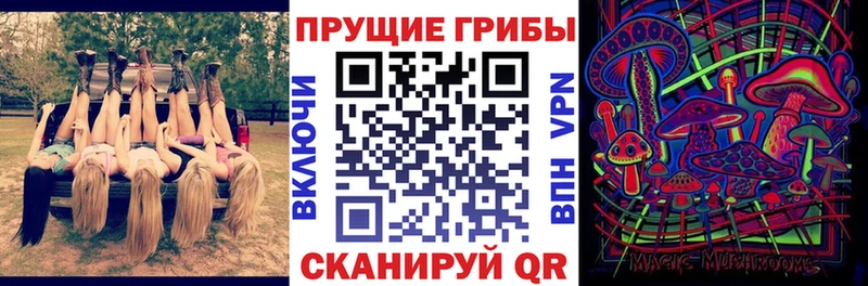 купить наркотик  Ивангород  Галлюциногенные грибы GOLDEN TEACHER 